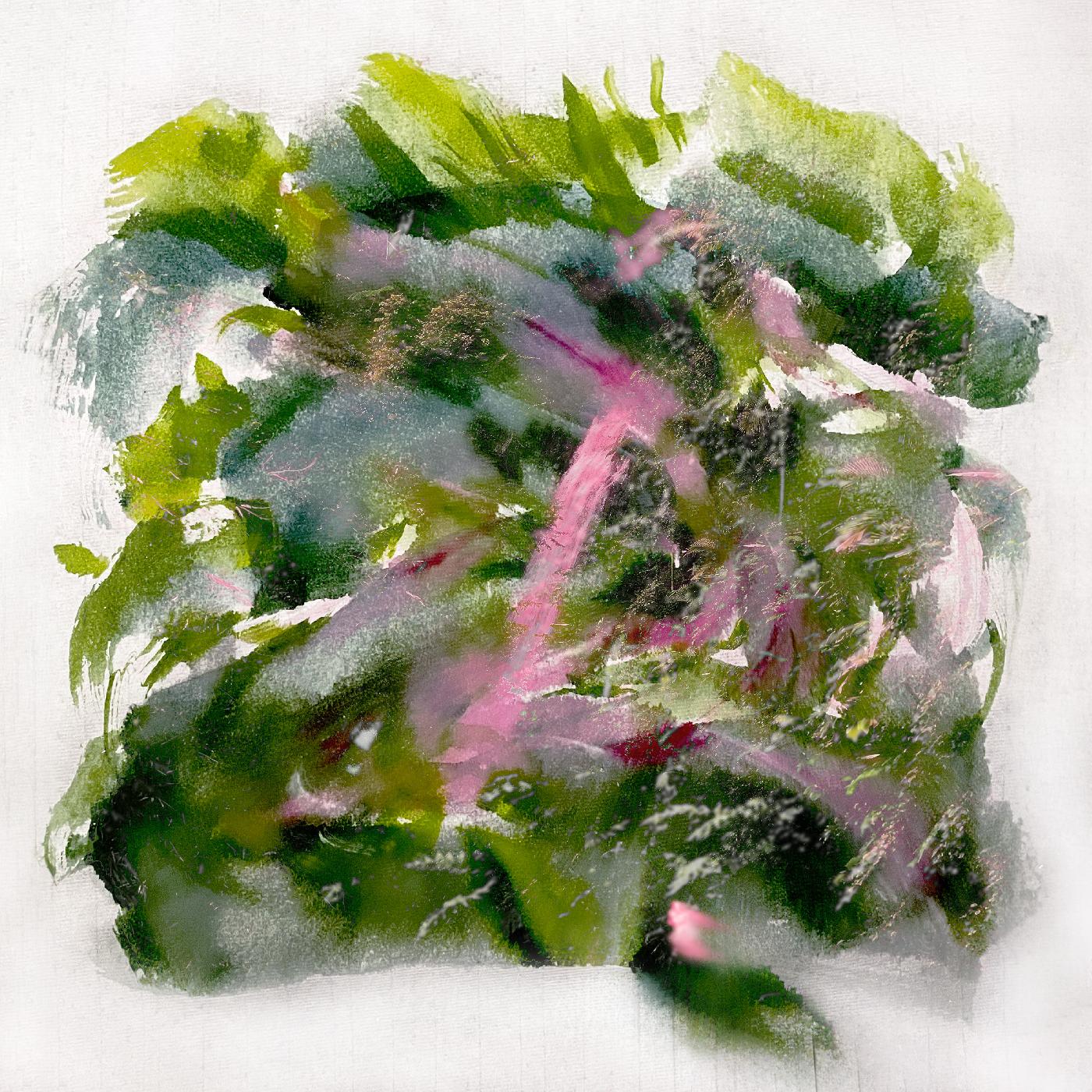 MIZU | Forest Scenes (COLOR-IN-COLOR LIGHT PINK & RED VINYL) | Vinyl