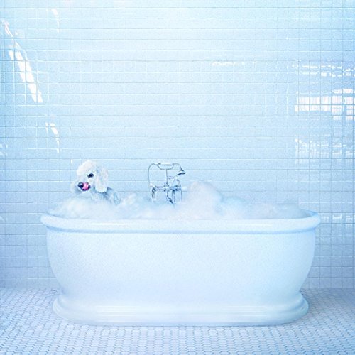 Frankie Cosmos - Vessel | Vinyl