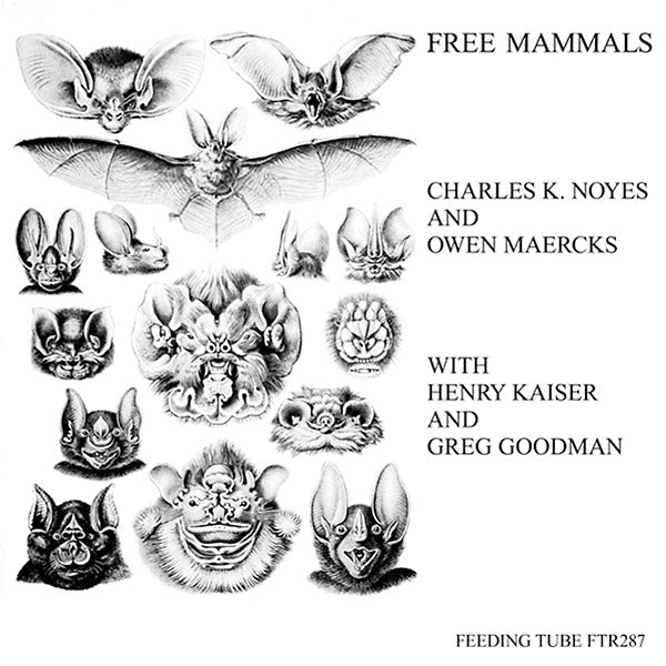 CHARLES K. NOYES AND OWEN MAERCKS WITH HENRY KAISE - Free Mammals | Vinyl