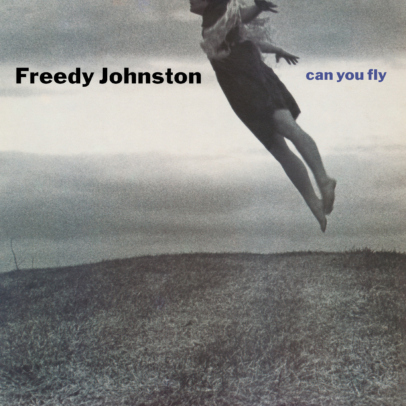 Freedy Johnston | Can You Fly (Clear Vinyl) | Vinyl