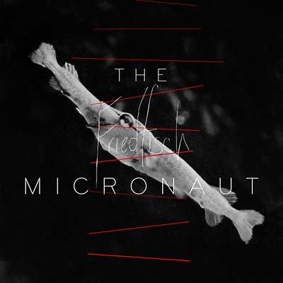 THE MICRONAUT - Friedfisch | CD