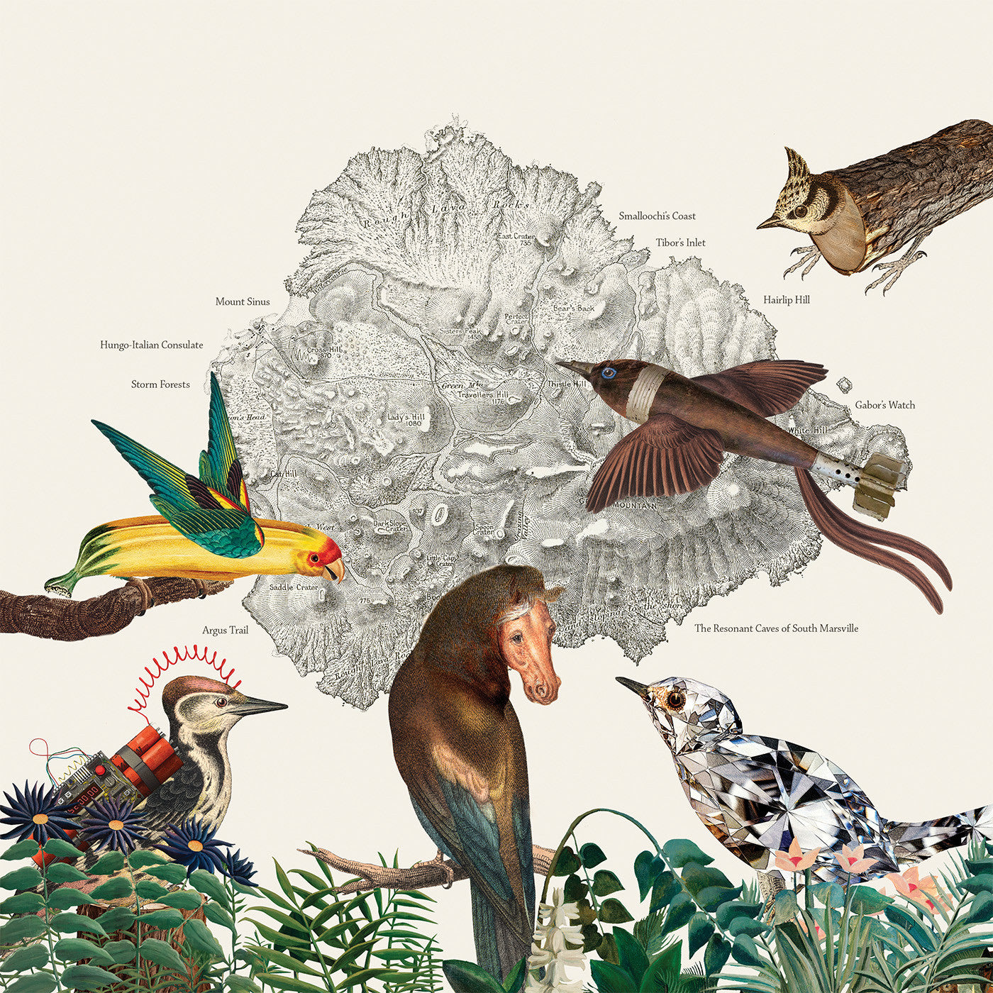 Friendly Rich - The Birds Of Marsville | Vinyl
