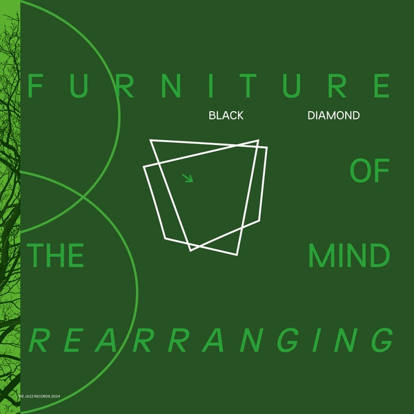 BLACK DIAMOND - Furniture Of Mind Rearranging | Vinyl