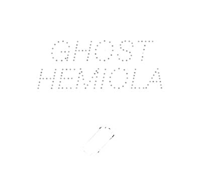 STEFAN GOLDMANN - Ghost Hemiola | Vinyl