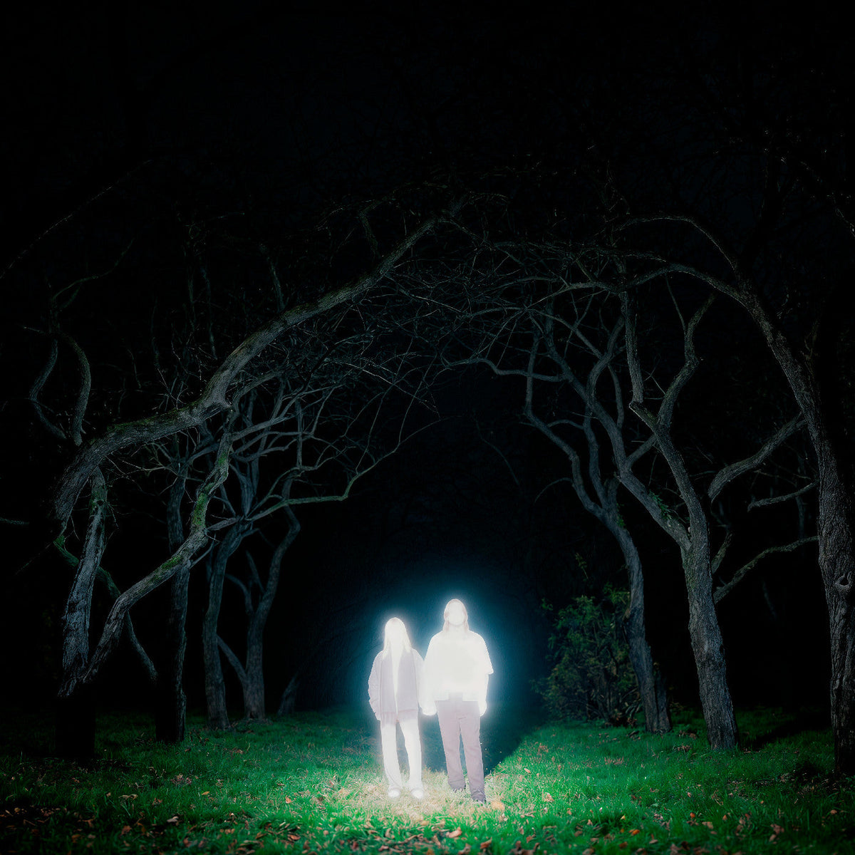 Gnoomes - Losey (Indie Exclusive) [Slate Gray Vinyl] | Vinyl