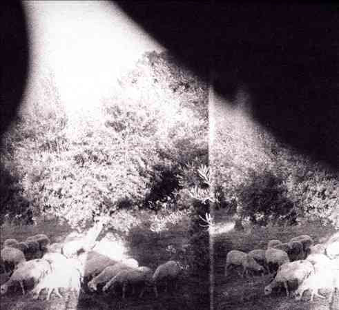 Godspeed You Black Emperor - Asunder Sweet & Other Distress (180 Gram Vinyl, Digital Download Card) | Vinyl