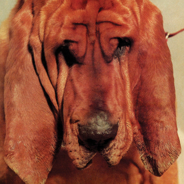 Ty Segall - Goodbye Bread | Vinyl