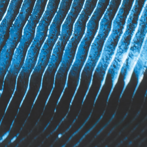 Monolake | Gravity | Vinyl