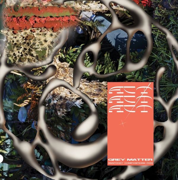 ACT! - Grey Matter AR Snapchat Compositions | Vinyl