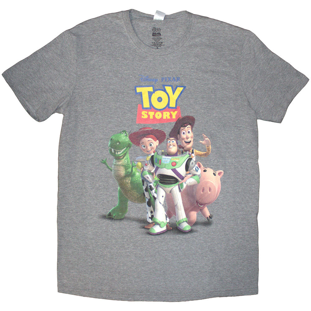 Disney | Toy Story Characters Distressed | Grey