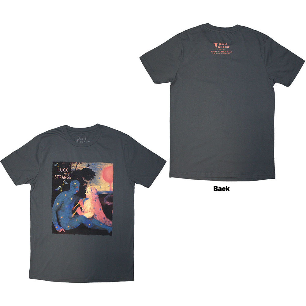 David Gilmour | Luck & Strange London 2 | Grey