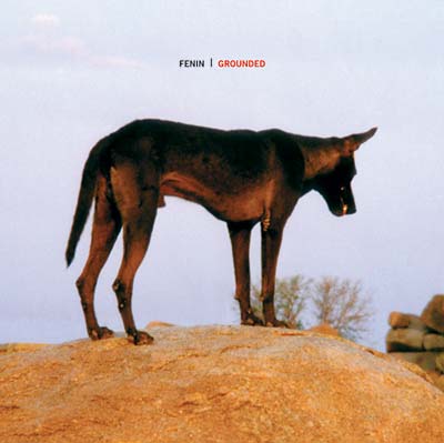 FENIN - Grounded | CD