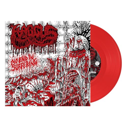 Haggus - No End In Suffering | Vinyl