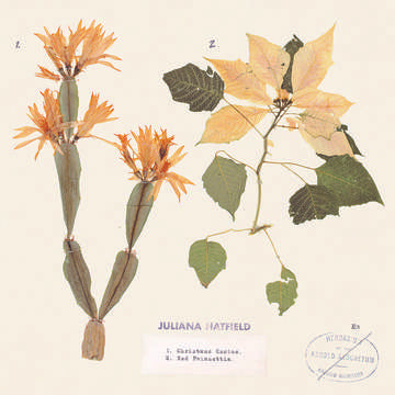 Hatfield, Juliana - Christmas Cactus/Red Poinsettia (RSD Black Friday 11.27.2020) | Vinyl