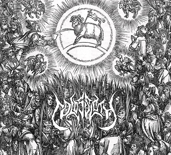 COLOSSLOTH - Heathen Needles | CD