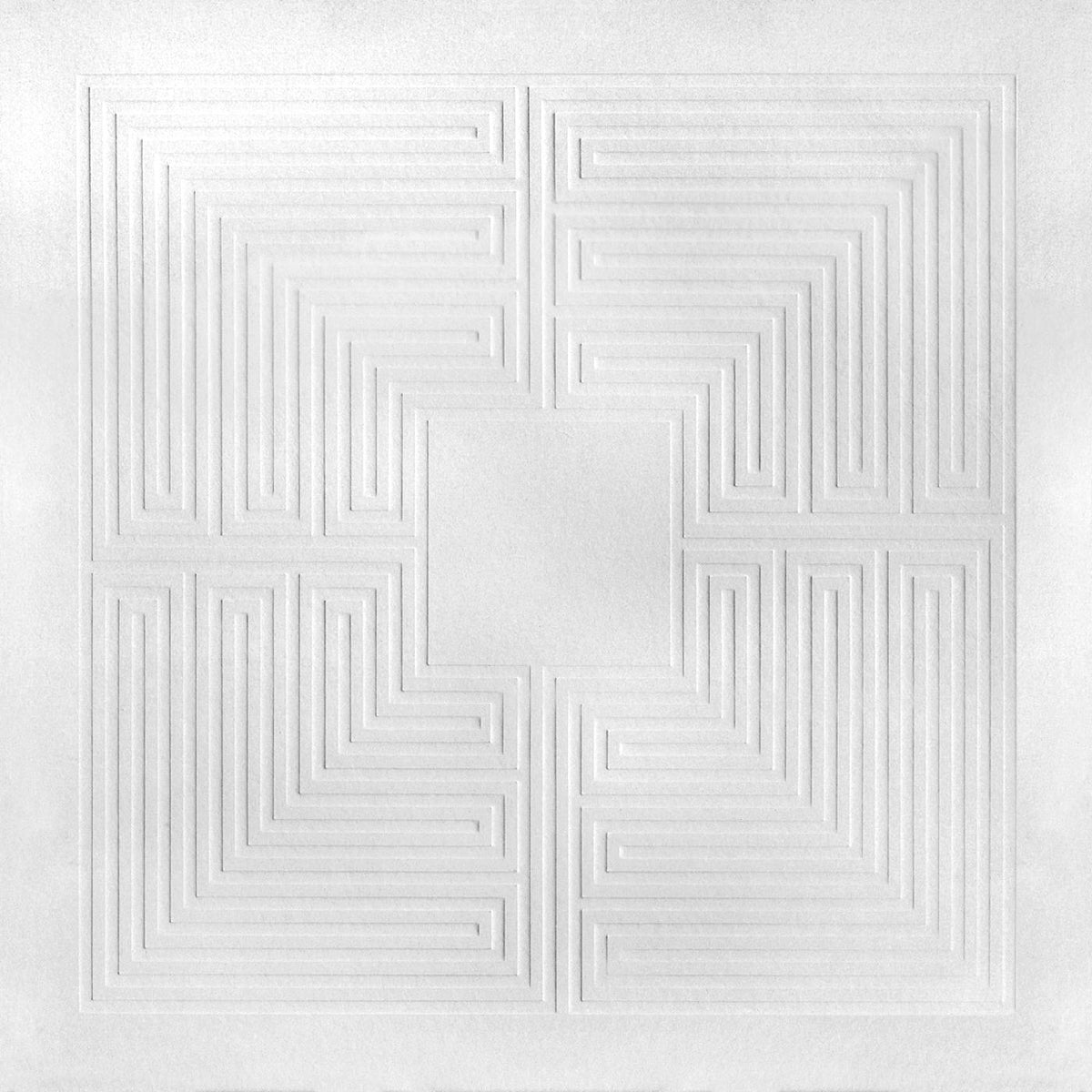 These New Puritans - Hidden [MMXX] | Vinyl