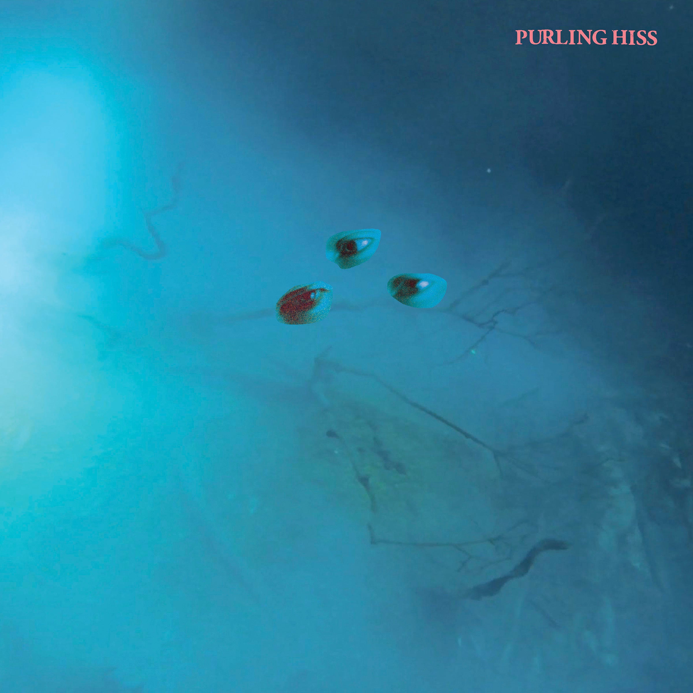 Purling Hiss | High Bias | CD