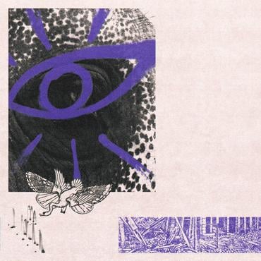 Hippo Campus - LP3 | CD