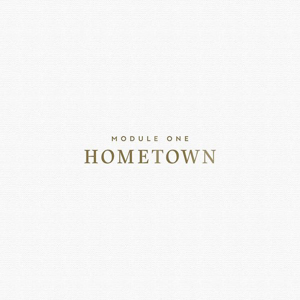 MODULE ONE - Hometown | Vinyl