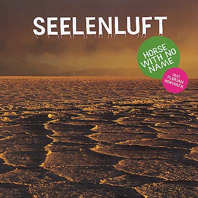 SEELENLUFT - Horse With No Name (feat. Florian Horwath) | Vinyl