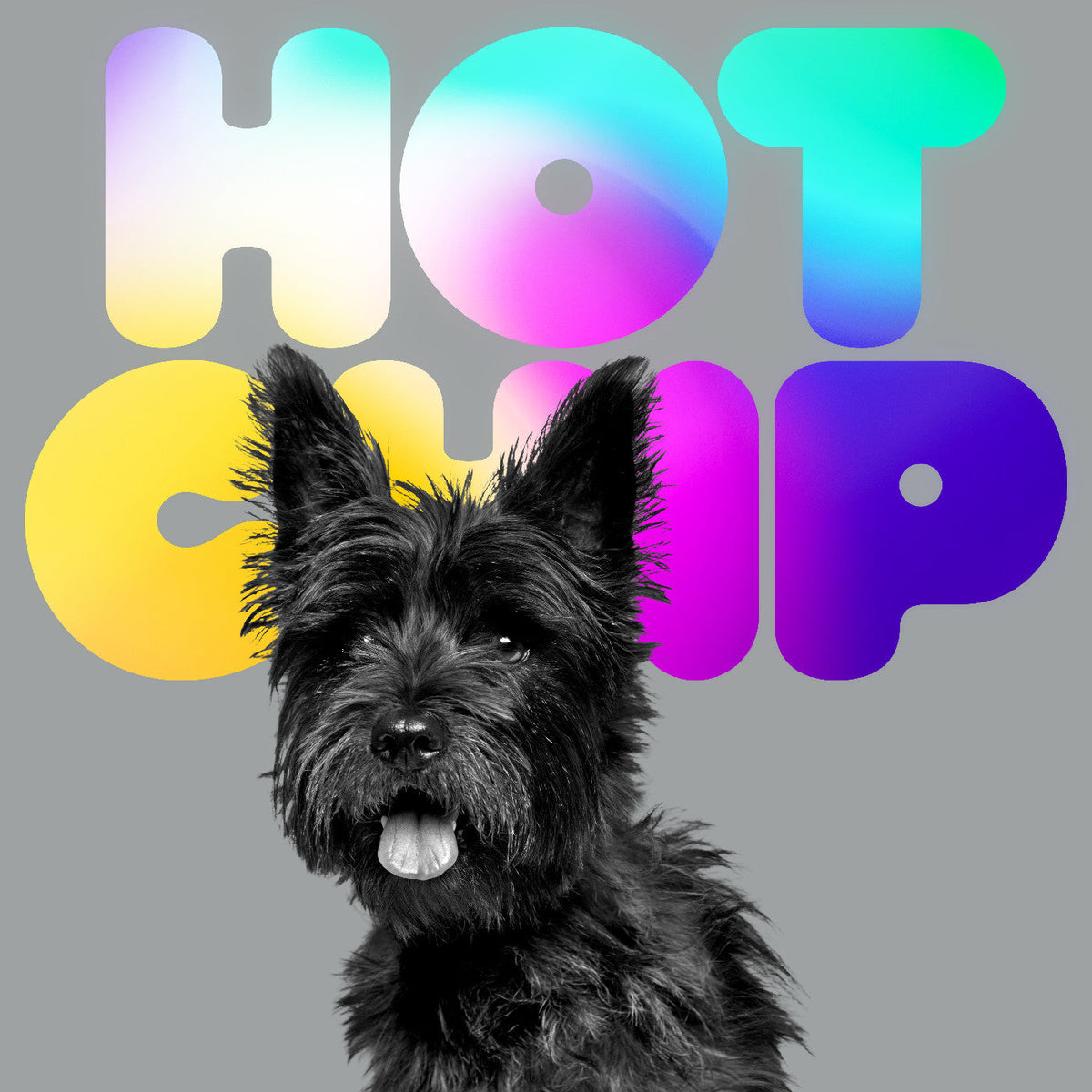 Hot Chip - A Long Way From Kansas [CD] | CD
