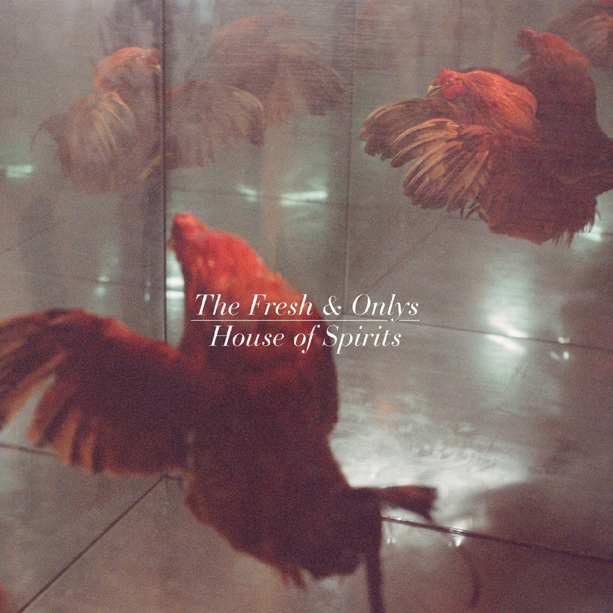 The Fresh & Onlys - House of Spirits | Vinyl