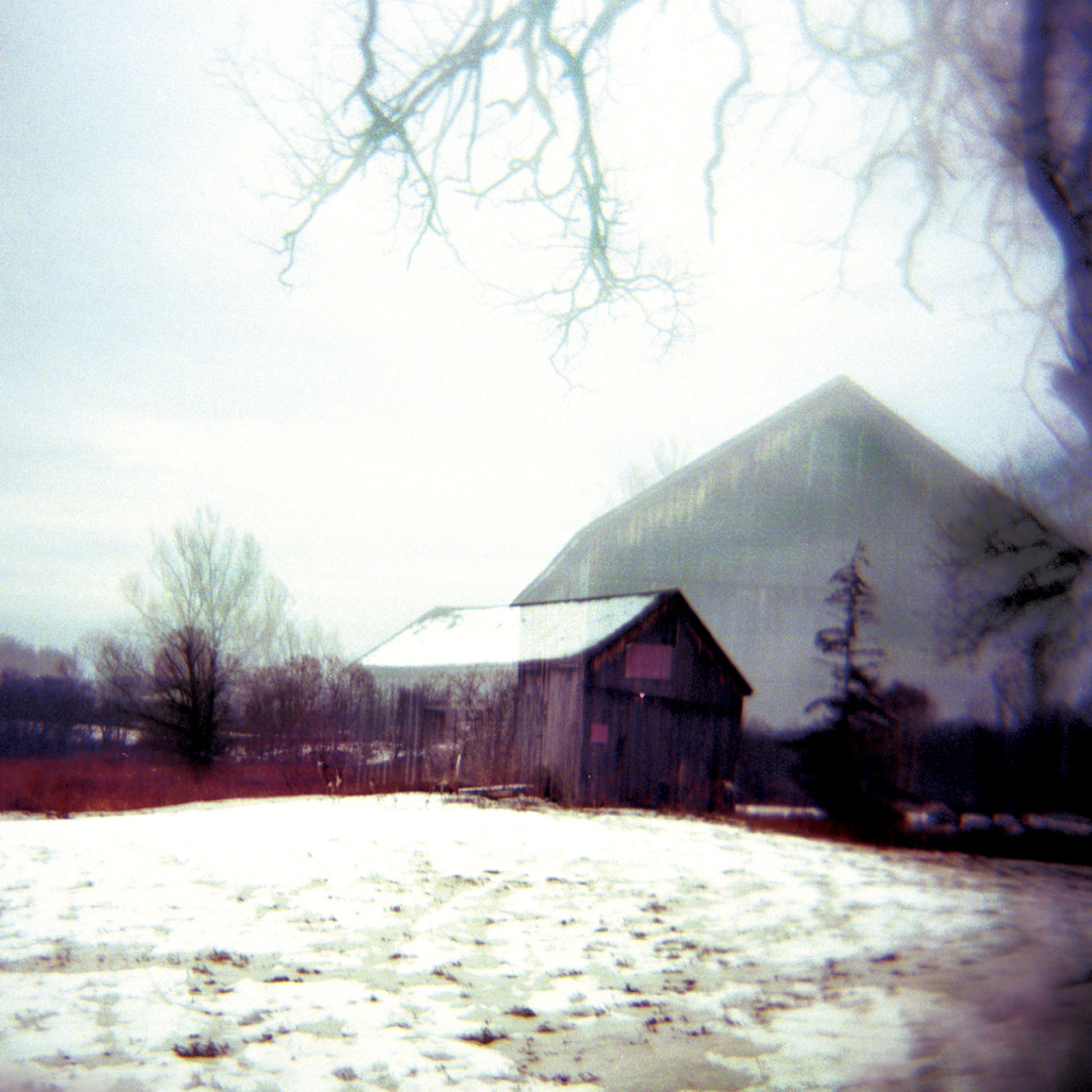 Horse Feathers - House With No Home | CD