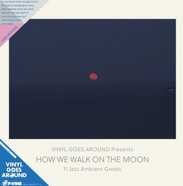 Various Artists - How We Walk On The Moon | Vinyl