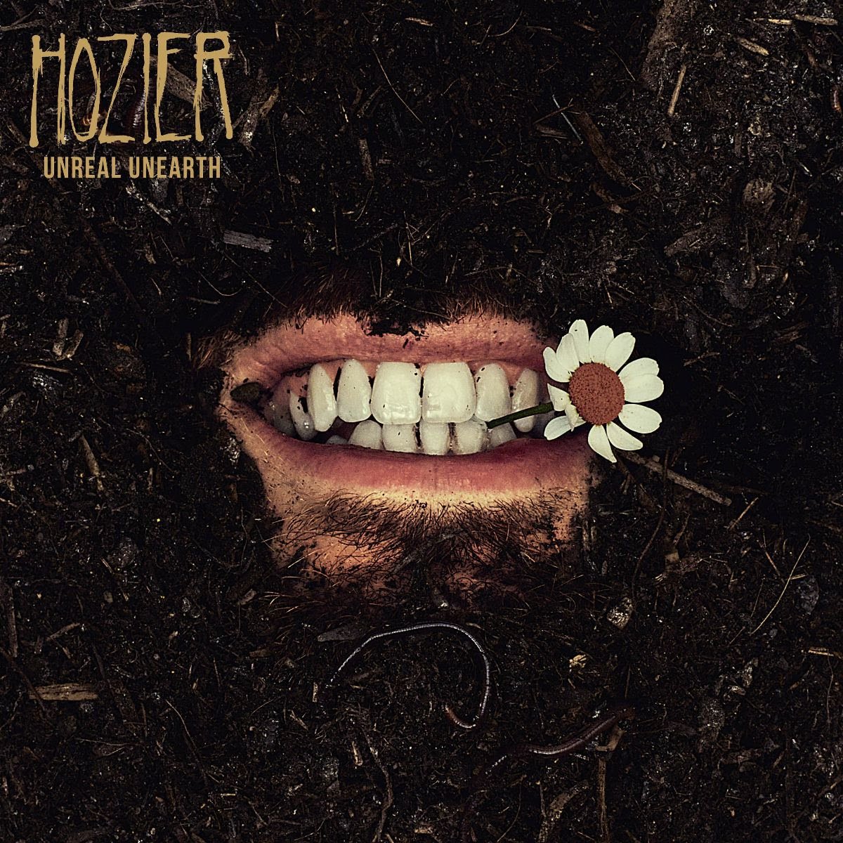 Hozier | Unreal Unearth Unending (140 Gram Raw Ochre Colored Vinyl) | Vinyl