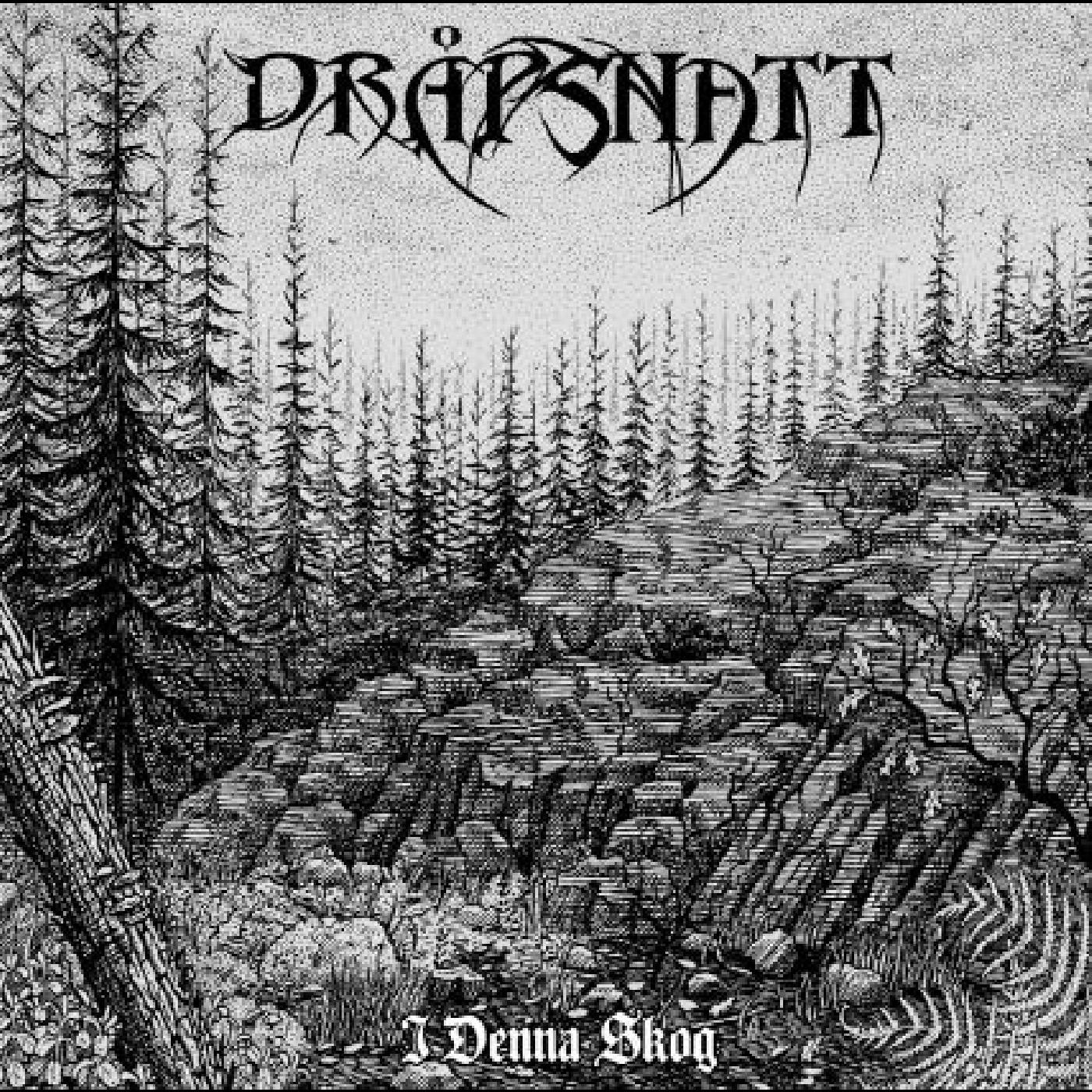 DrÂpsnatt - I Denna Skog | CD