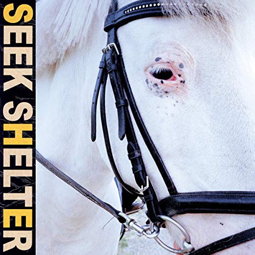 Iceage - Seek Shelter [LP] | Vinyl