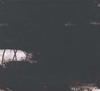 VA - Idioscapes | CD