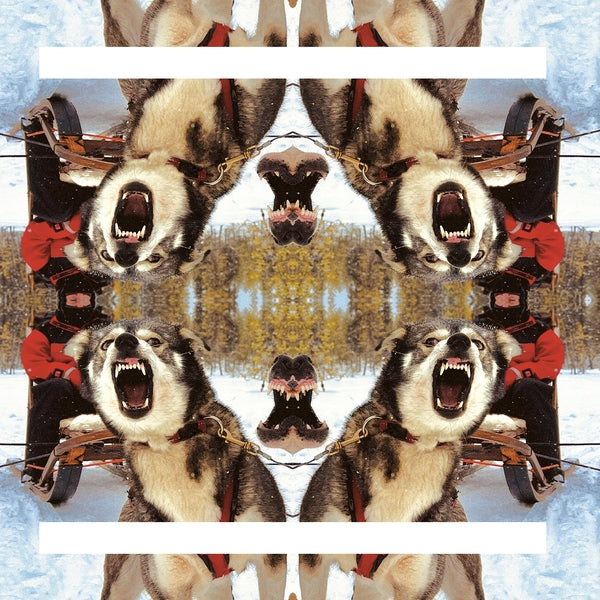Destiino | Ii | Vinyl