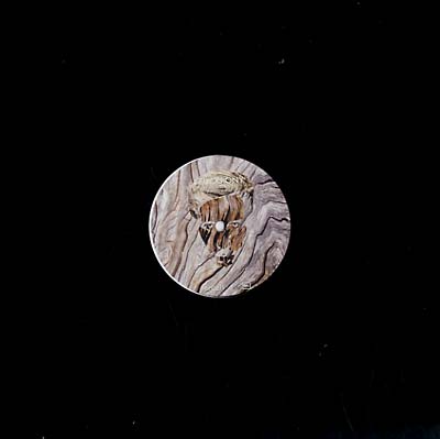 FUCKPONY - I'm Burning Inside | Vinyl