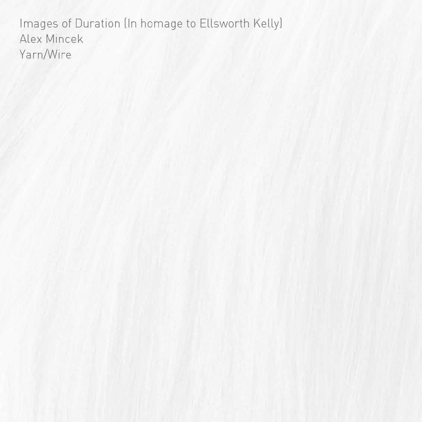 Yarn/Wire - Images of Duration (In homage to Ellsworth Kelly) | CD