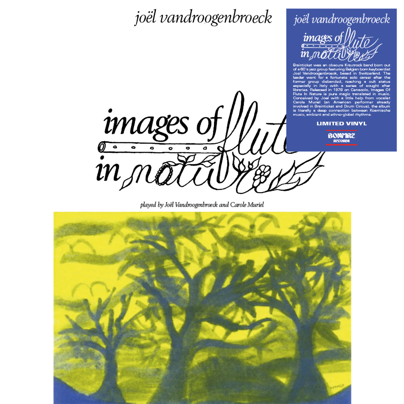 Joel Vandroogenbroeck - Images Of Flute In Nature | Vinyl