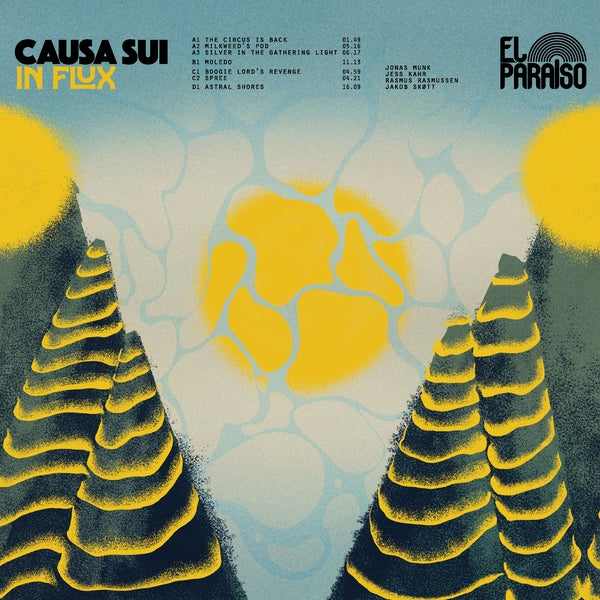 Causa Sui | In Flux | CD