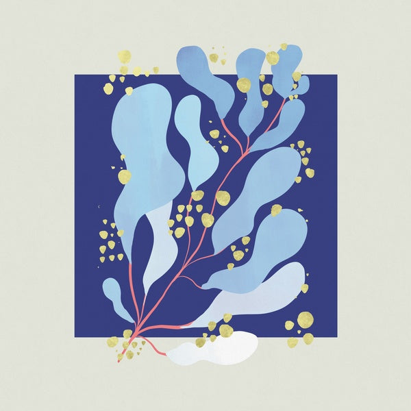 SALAMANDA - In Parallel | Vinyl