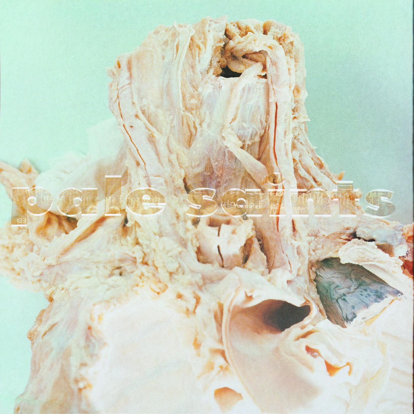 Pale Saints - In Ribbons | Vinyl