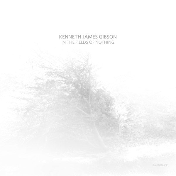 KENNETH JAMES GIBSON - In The Fields Of Nothing | CD