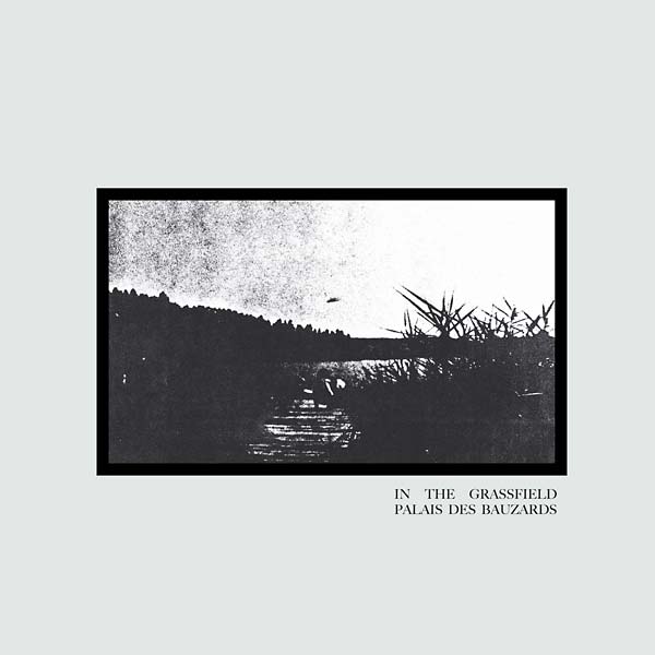 PALAIS DES BAUZARDS - In the Grassfield | Vinyl