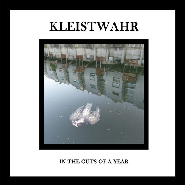 KLEISTWAHR - In the Guts of a Year | CD