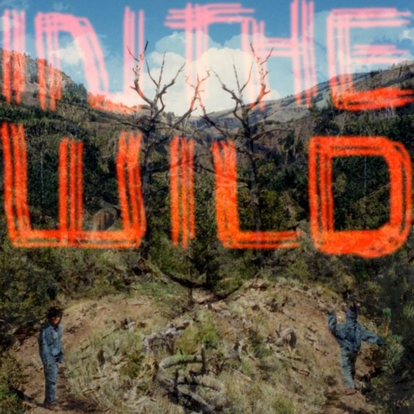 FaltyDL | In The Wild | Vinyl