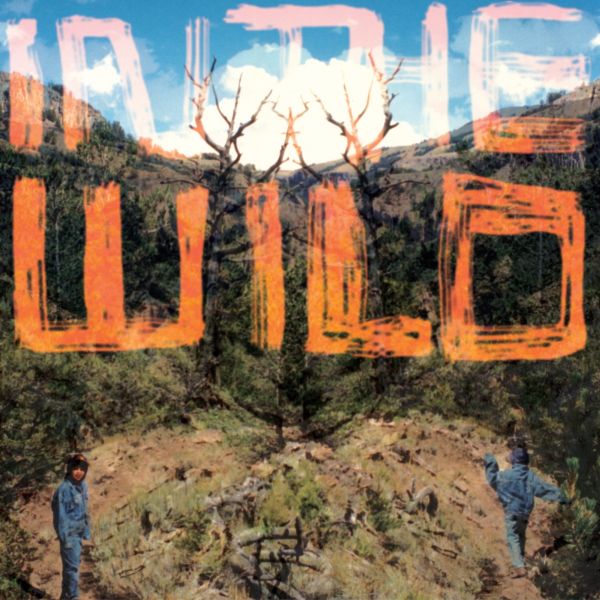 FaltyDL | In The Wild | CD