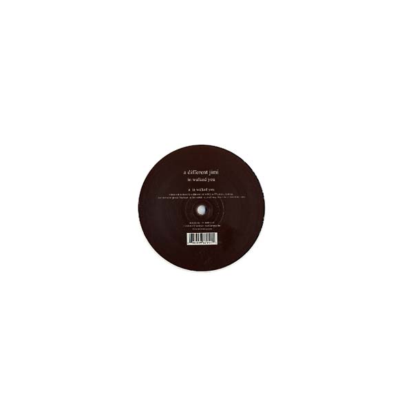 A Different Jimi - In Walked You | Vinyl