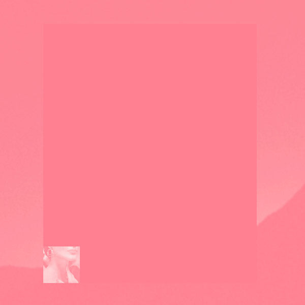 PINKCOURTESYPHONE - Indelicate Slices | CD
