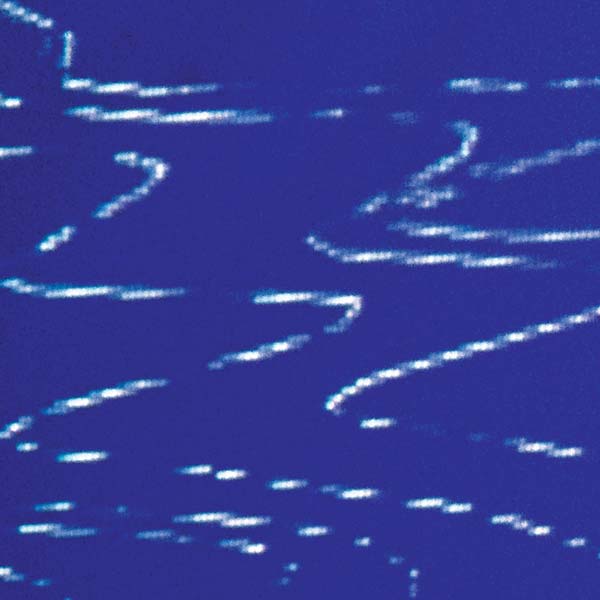 STRATEGY - Information Pollution | Vinyl