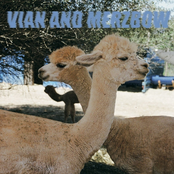 PEDRO VIAN & MERZBOW - Inside Richard Serra Sculptures | Vinyl