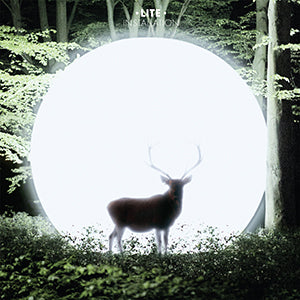 Lite - Installation (COLOR VINYL) | Vinyl