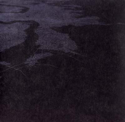 RICHARD CHARTIER - Interior Field | CD